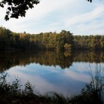 Einsame brandenburger Seen ...